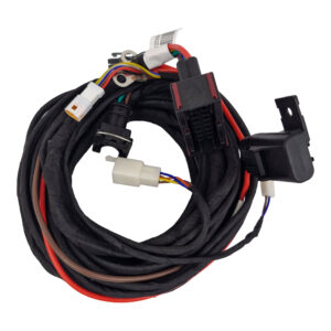 Belief 2.2kW/4kW Plateau Alt SP Wiring loom